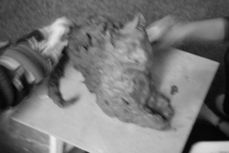 The Incommensurable Cat
