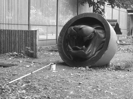 The Incommensurable Cat