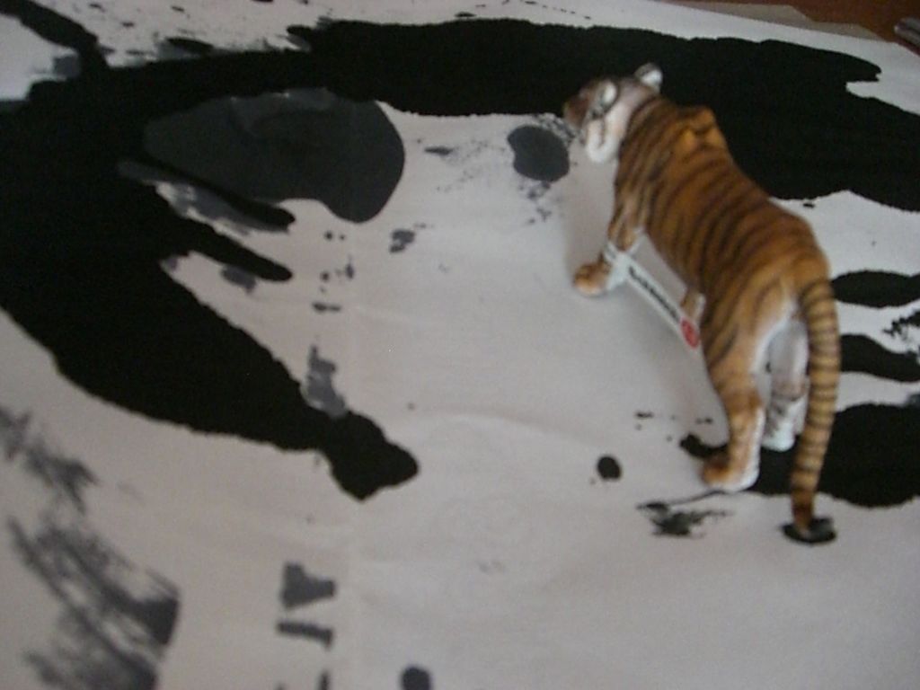The Incommensurable Cat
