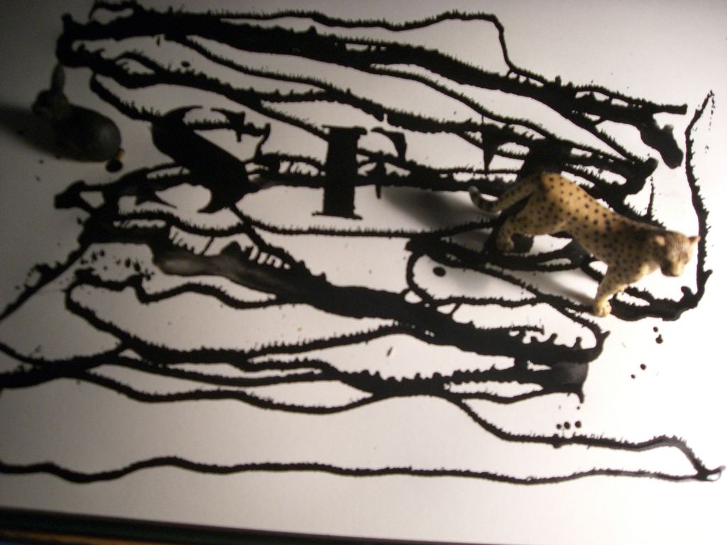 The Incommensurable Cat