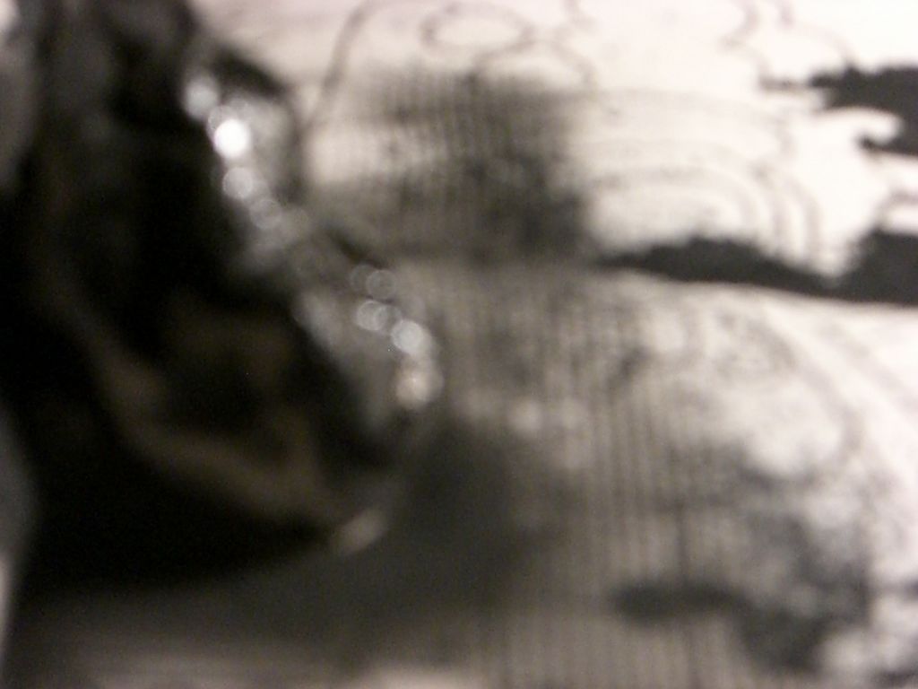 The Incommensurable Cat