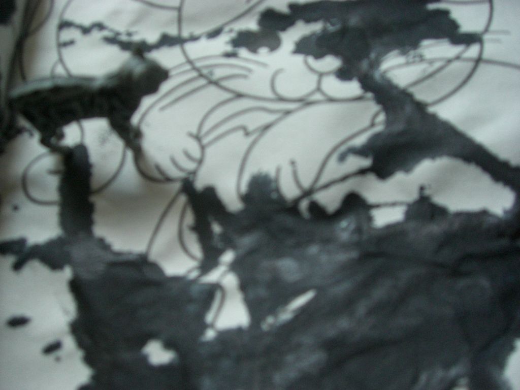 The Incommensurable Cat