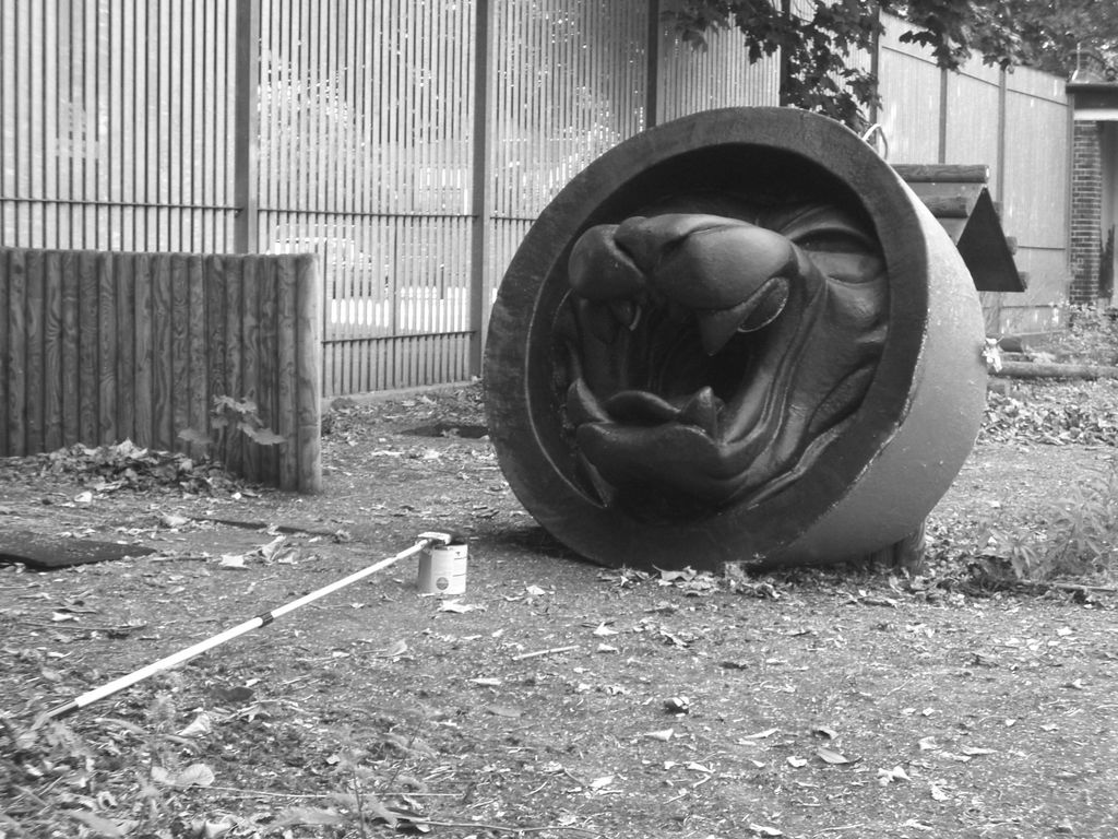 The Incommensurable Cat