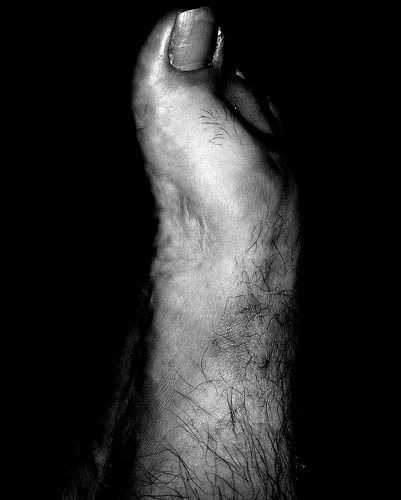 Self Portraits