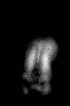 Self Portraits