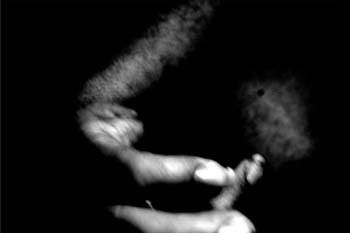 Self Portraits